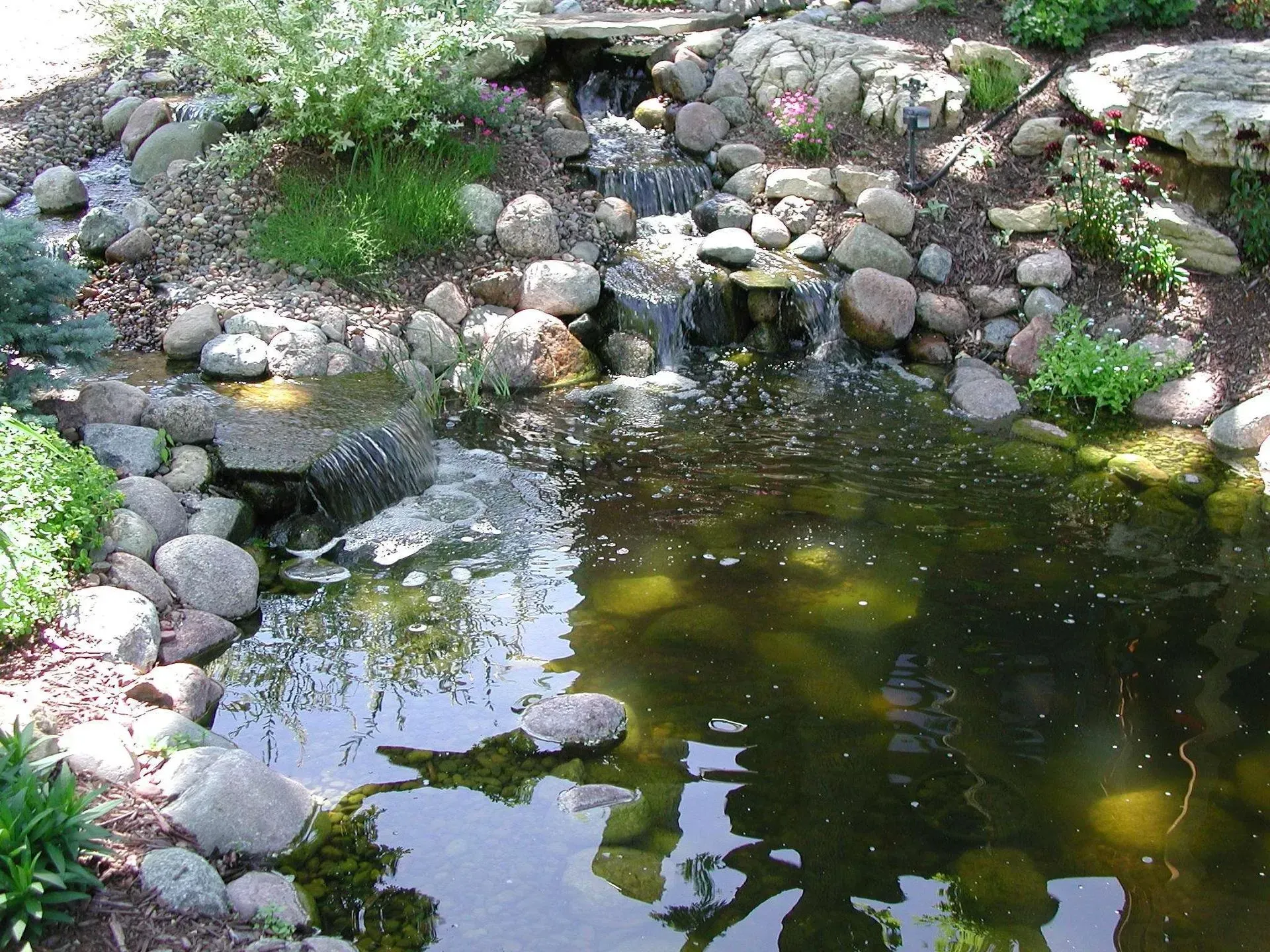 A small pond with a waterfall, surrounded by rocks and plants. The water is dark and murky.