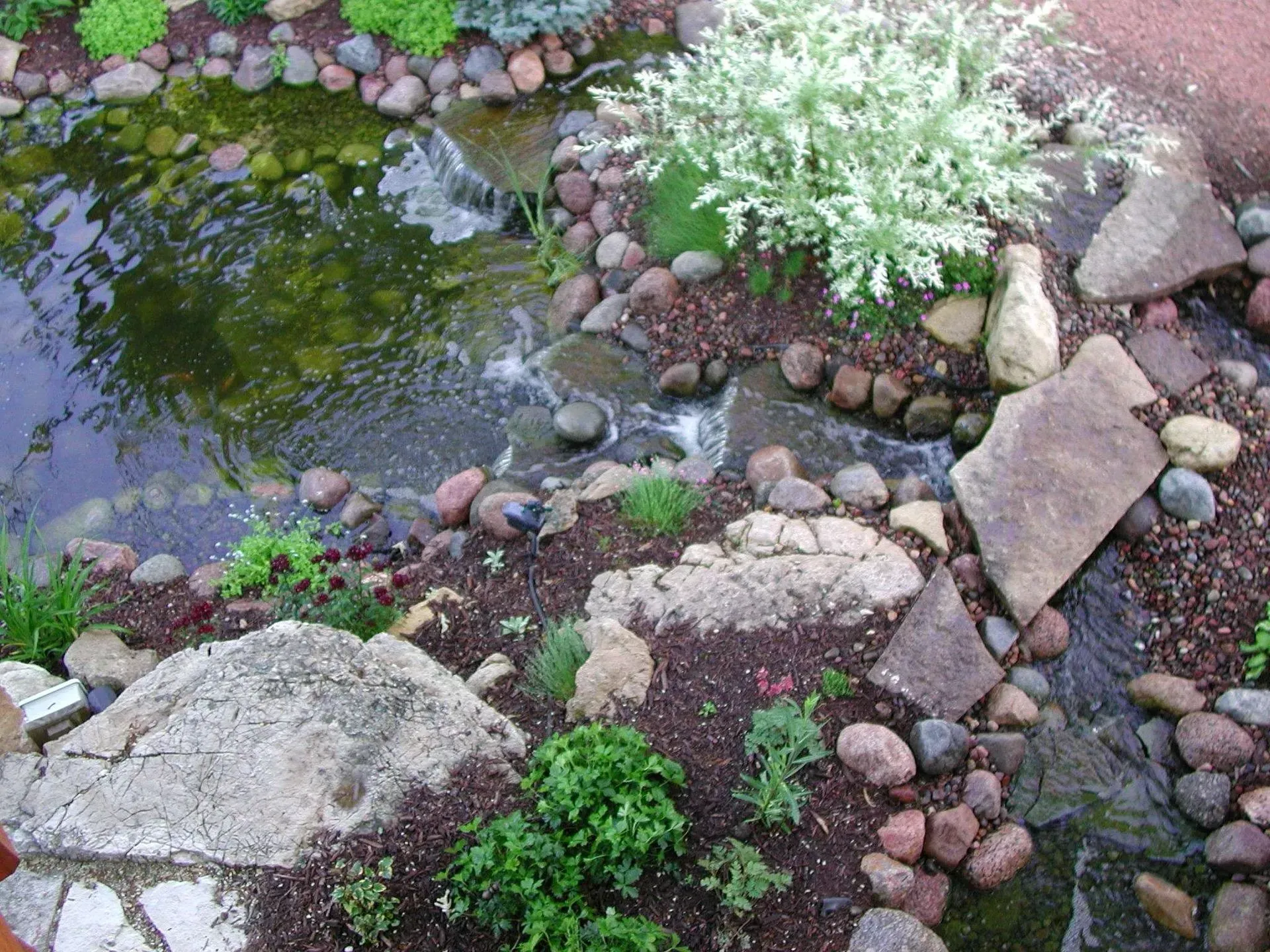 Small pond with waterfall, surrounded by rocks, plants, and mulch.