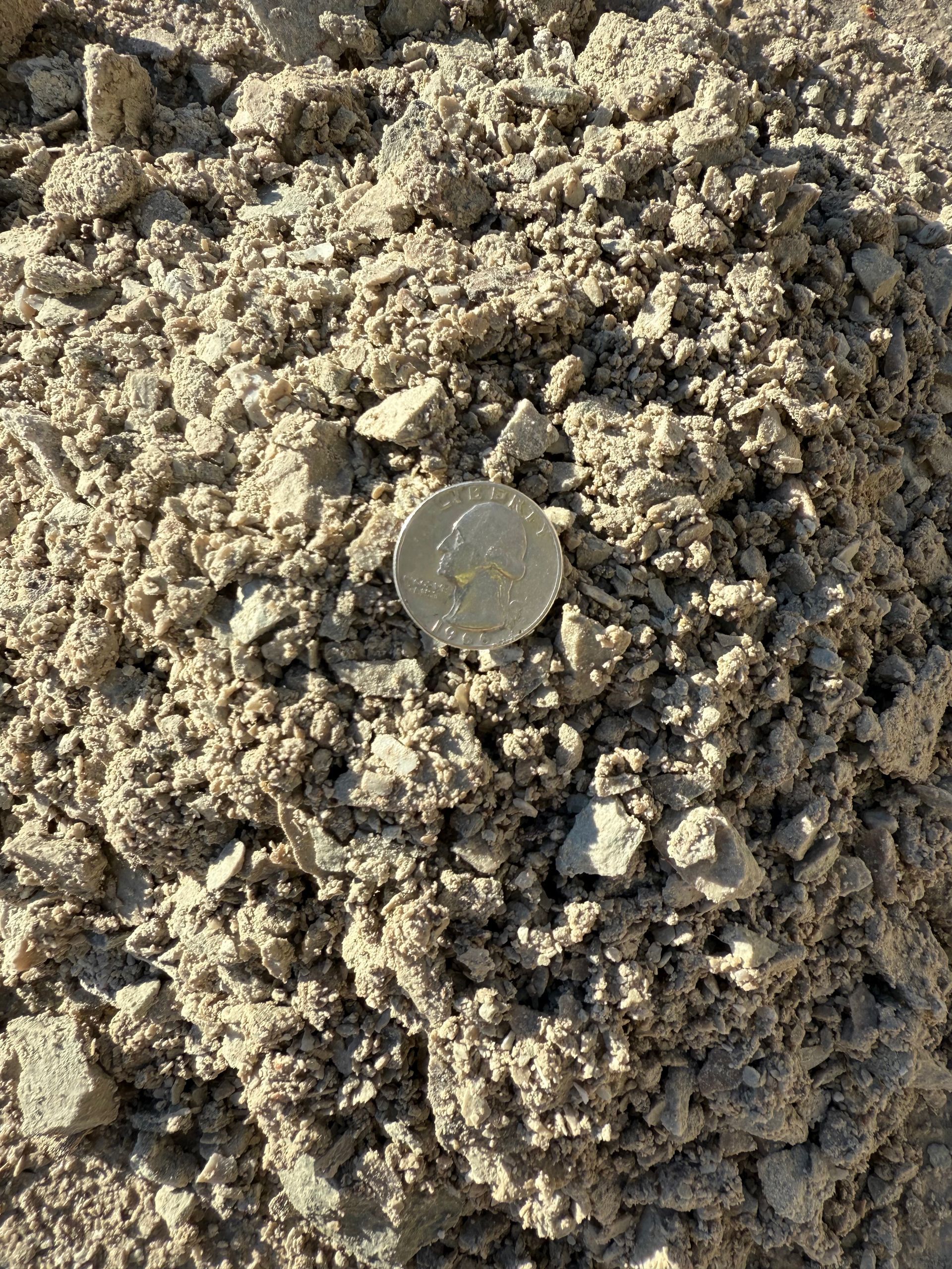 A coin lying on rough sandy soil