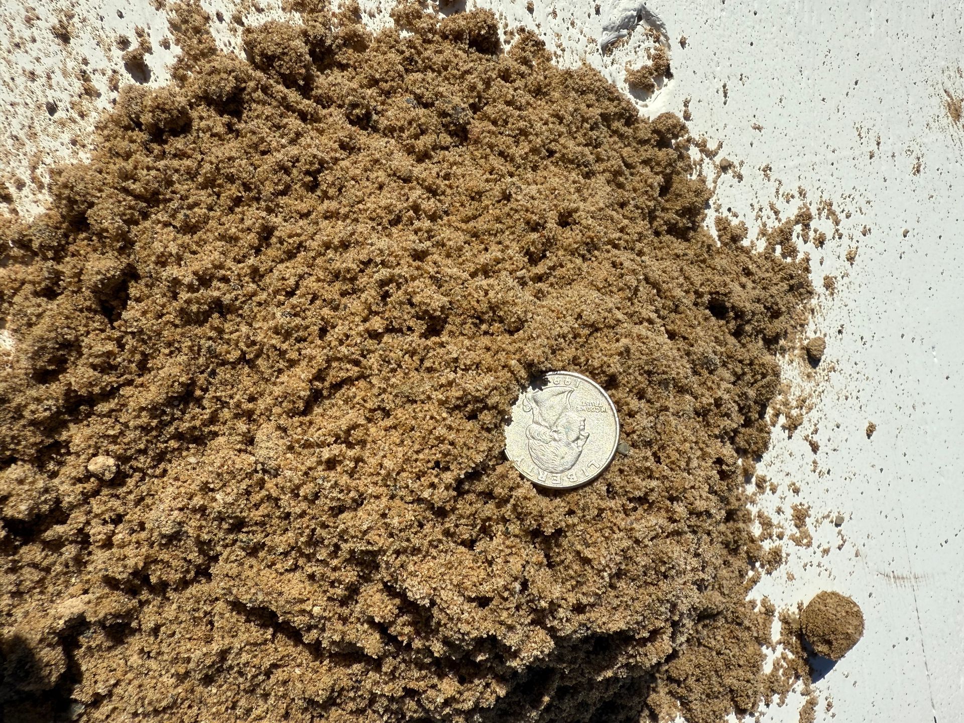 Small silver coin partly buried in a pile of brown sand on a white surface