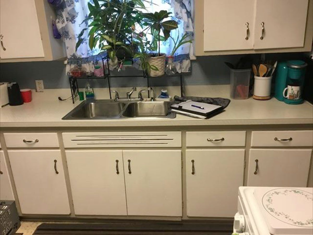 White kitchen cabinets, double sink, plants in front of window, appliances on the countertop