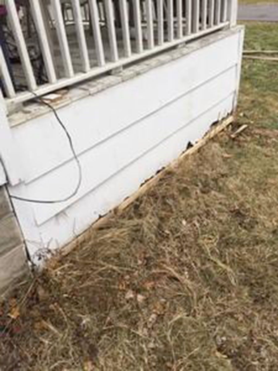 White siding on a porch with deteriorated lower edges and overgrown grass