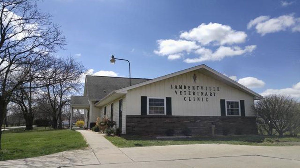 Lambertville Veterinary Clinic building, tan with dark brick base