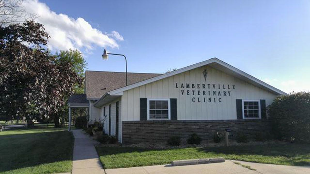 Lambertville Veterinary Clinic building with a stone base and sign