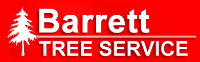 Barrett Tree Service  - Tree Service in Holmdel, Marlboro & Middletown, NJ