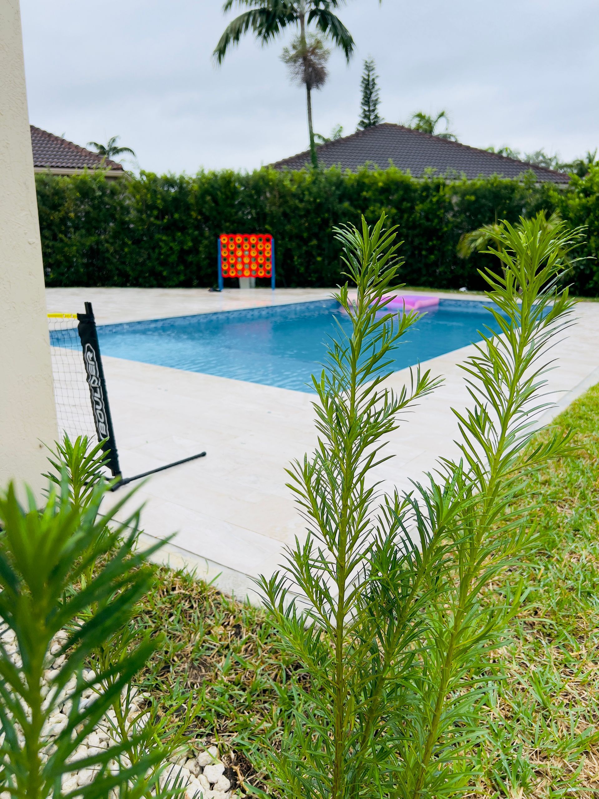 A swimming pool is surrounded by a lush green hedge