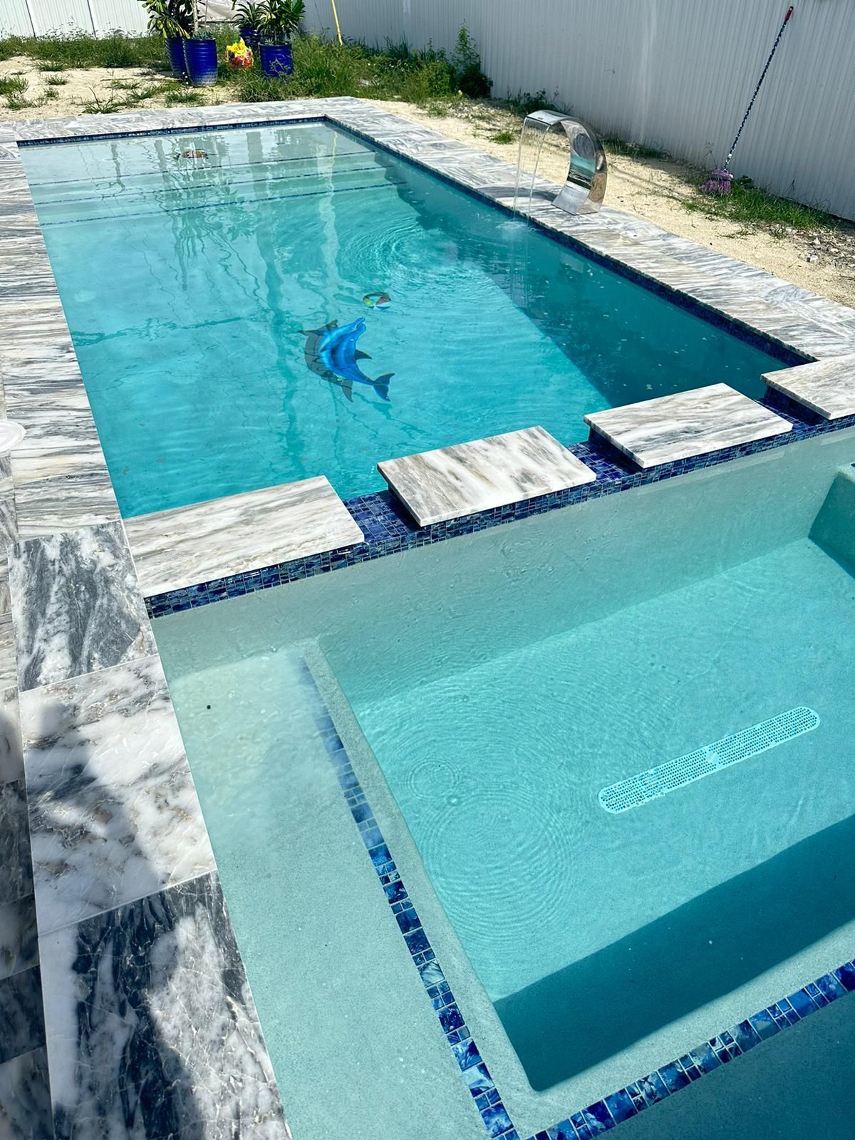 A large swimming pool with a dolphin in the water.