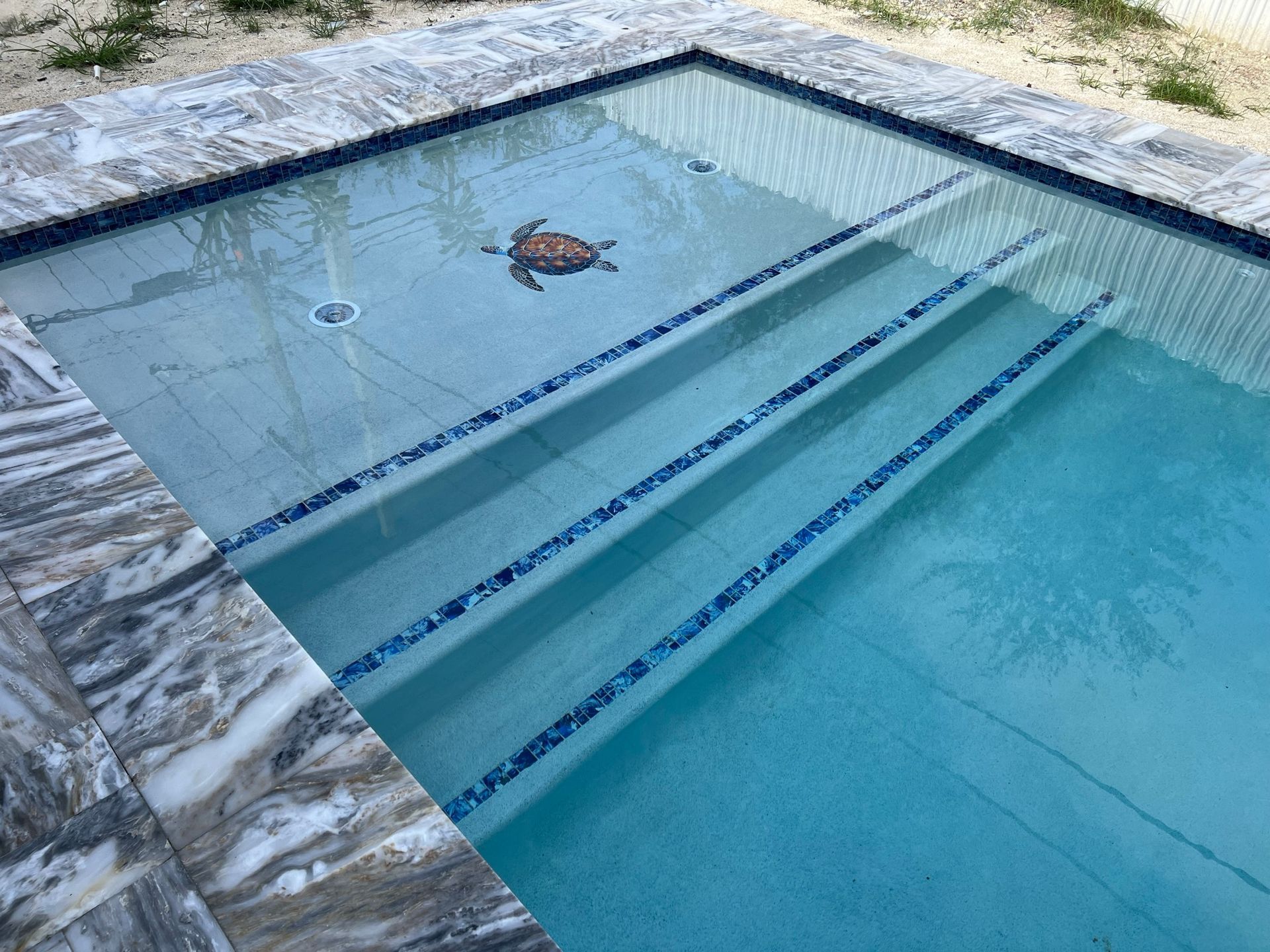 A swimming pool with steps and a turtle in the middle