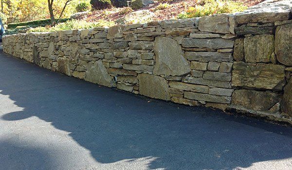 Yard Service Landscaping Work