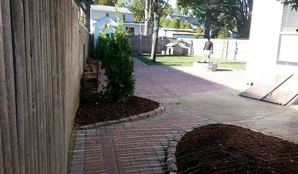 Yard Service Landscaping Work