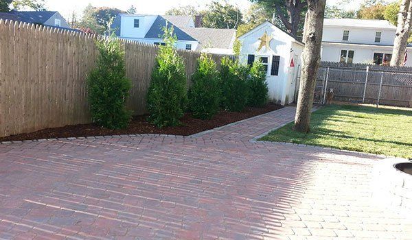 Yard Service Landscaping Work