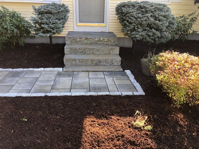 Yard Service Landscaping Work