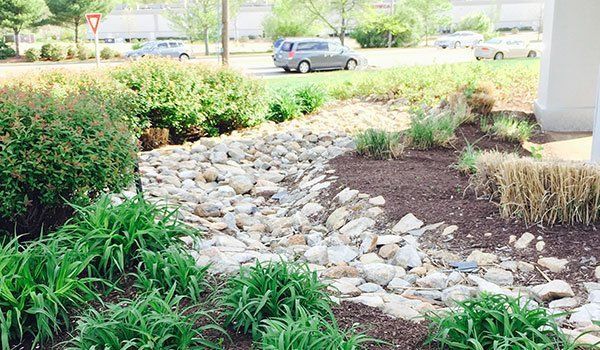 Yard Service Landscaping Work