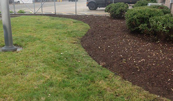 Yard Service Landscaping Work