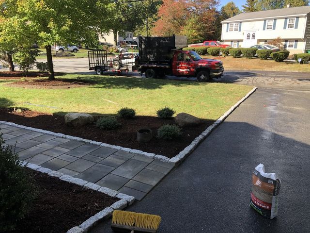 Yard Service Landscaping Work
