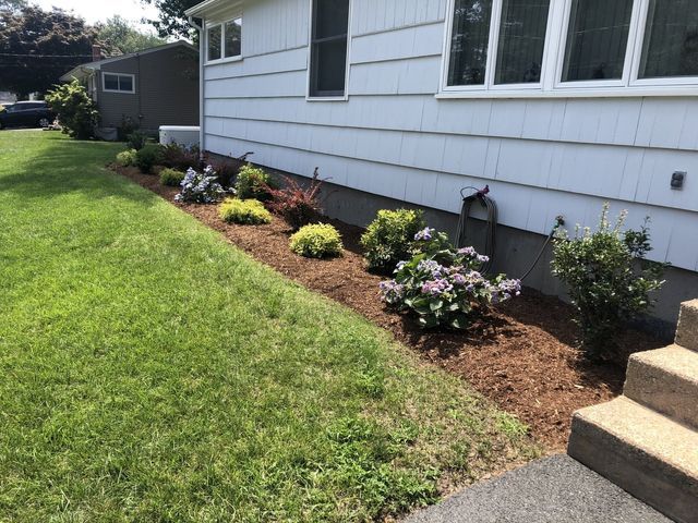 Yard Service Landscaping Work