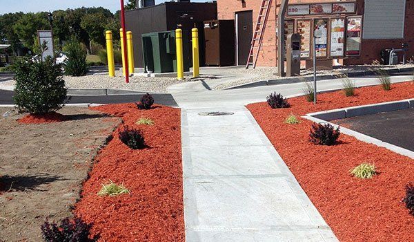 Yard Service Landscaping Work