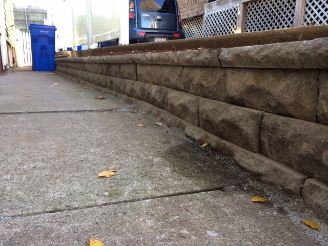 Yard Service Landscaping Work