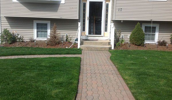 Yard Service Landscaping Work