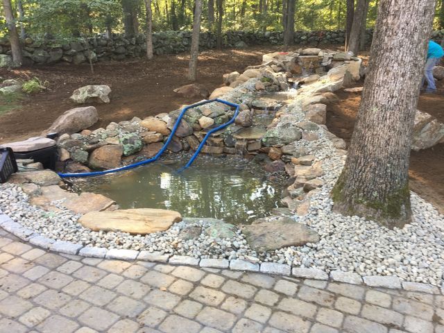 Yard Service Landscaping Work