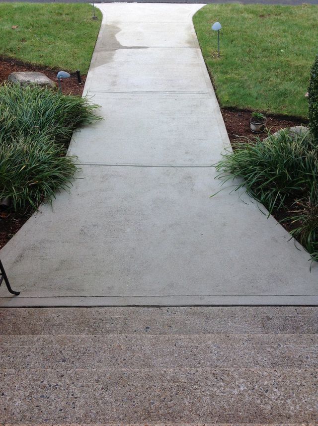 Yard Service Landscaping Work