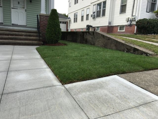 Yard Service Landscaping Work