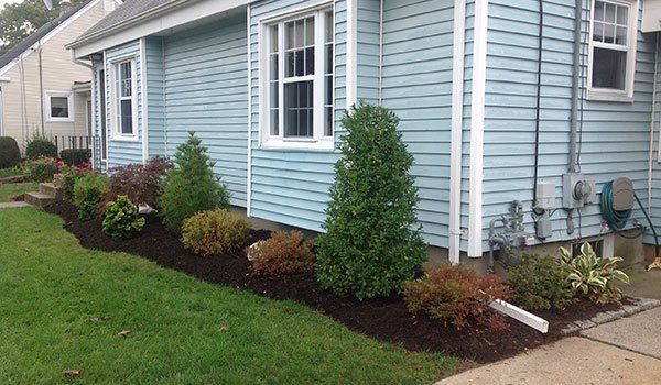 Yard Service Landscaping Work