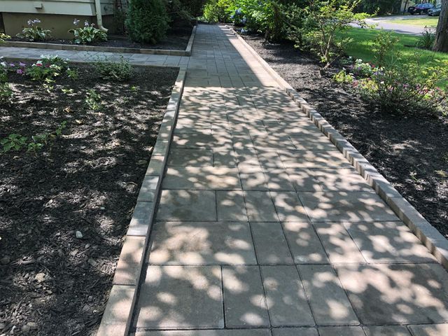 Yard Service Landscaping Work