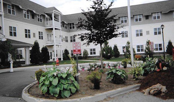 Yard Service Landscaping Work