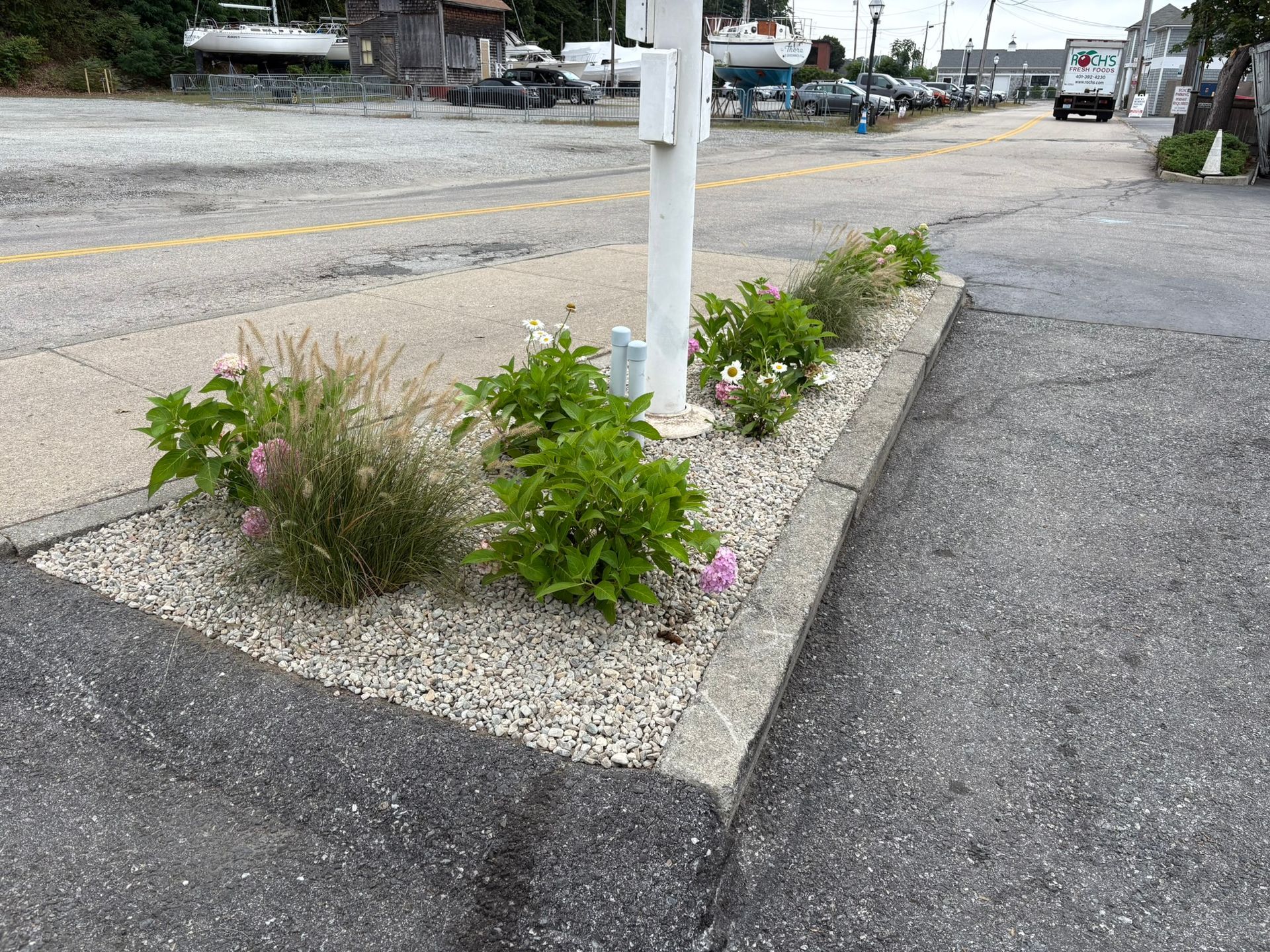 A roadside flower bed with various green plants and light gray gravel.