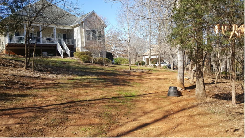 Gorry Back  Before New