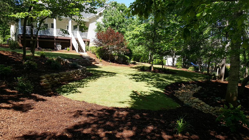 Gorry Back After New