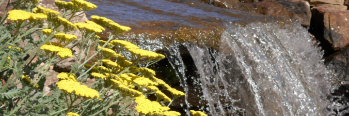 Water Features