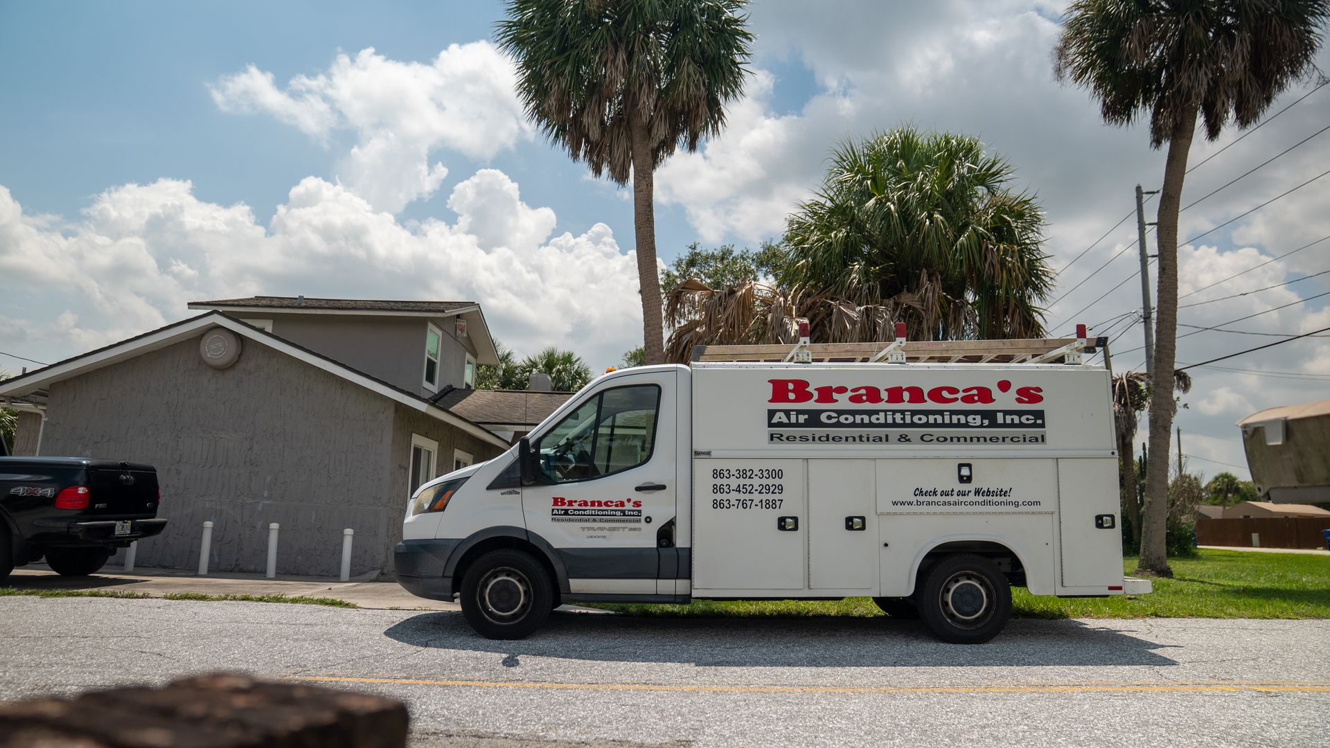 White service van parked by a house under palm trees on a sunny day.