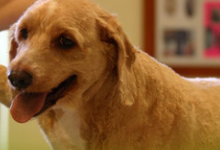 Beautifully combed hair