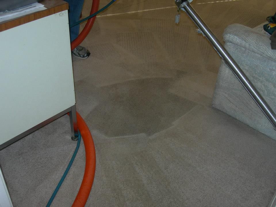 A vacuum cleaner is being used to clean a carpet.