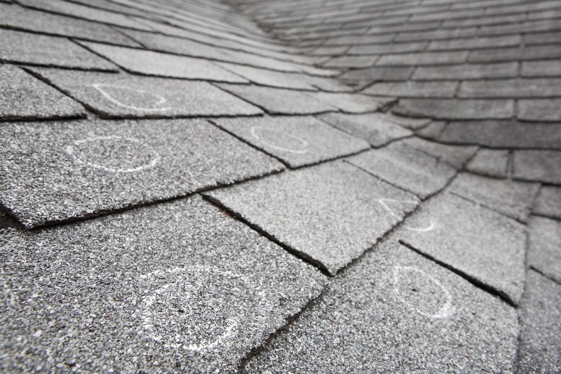 roof inspection