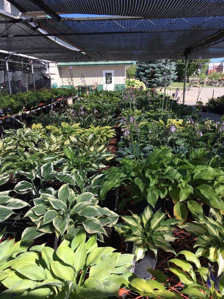 Klein Landscaping & Nursery Inc Landscaper Saint Cloud MN