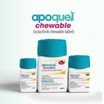 Three bottles of apoquel chewable tablets are sitting next to each other.