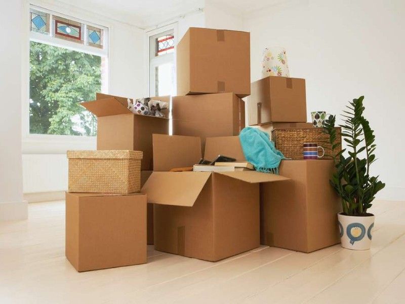Cardboard moving boxes stacked in a bright room with a window and a houseplant.