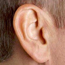 Hearing Aid services