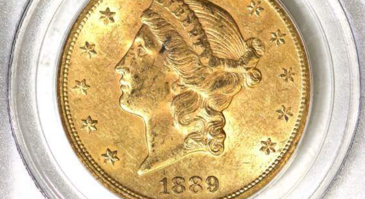 Gold coin close-up with Lady Liberty profile and date 1869