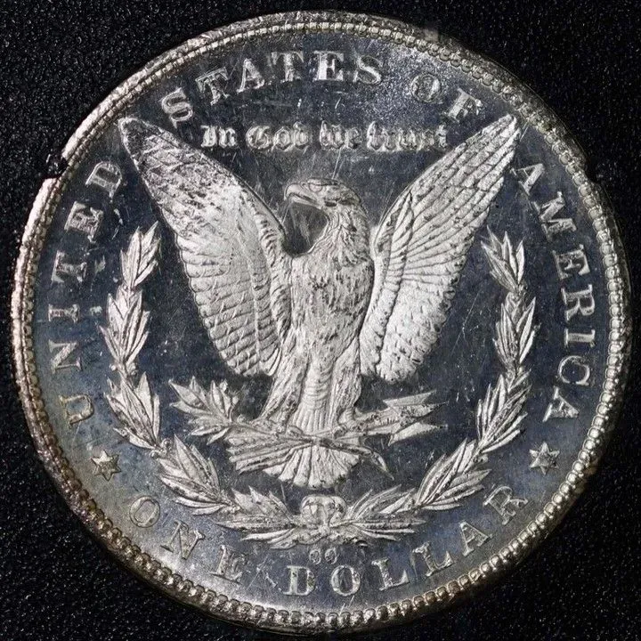 Close-up of a worn silver U.S. dollar coin with an eagle design and star border