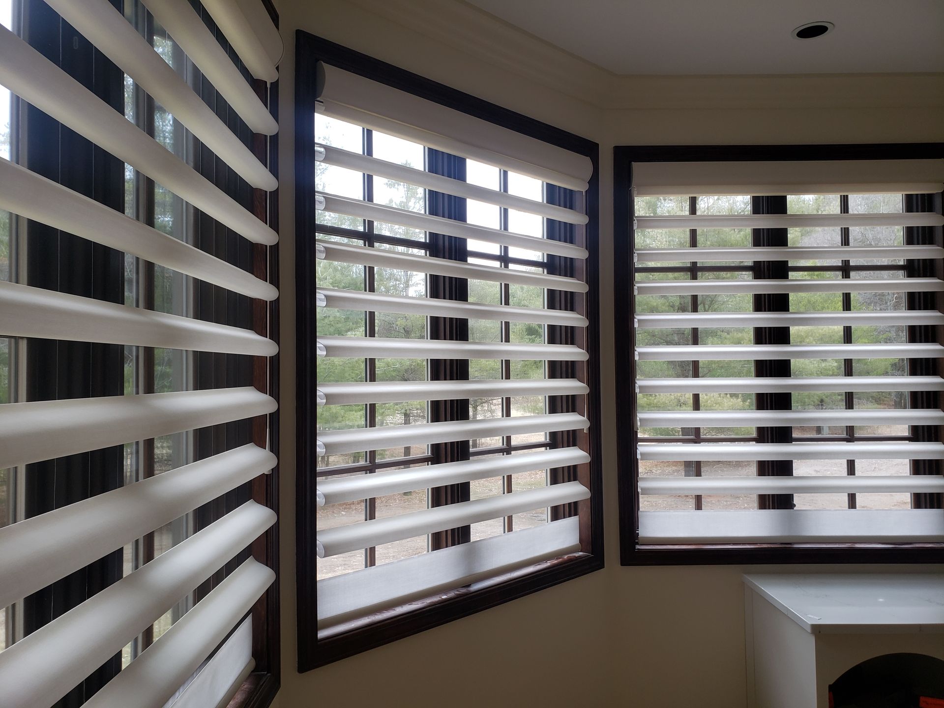 M22 Blinds & Window Treatments