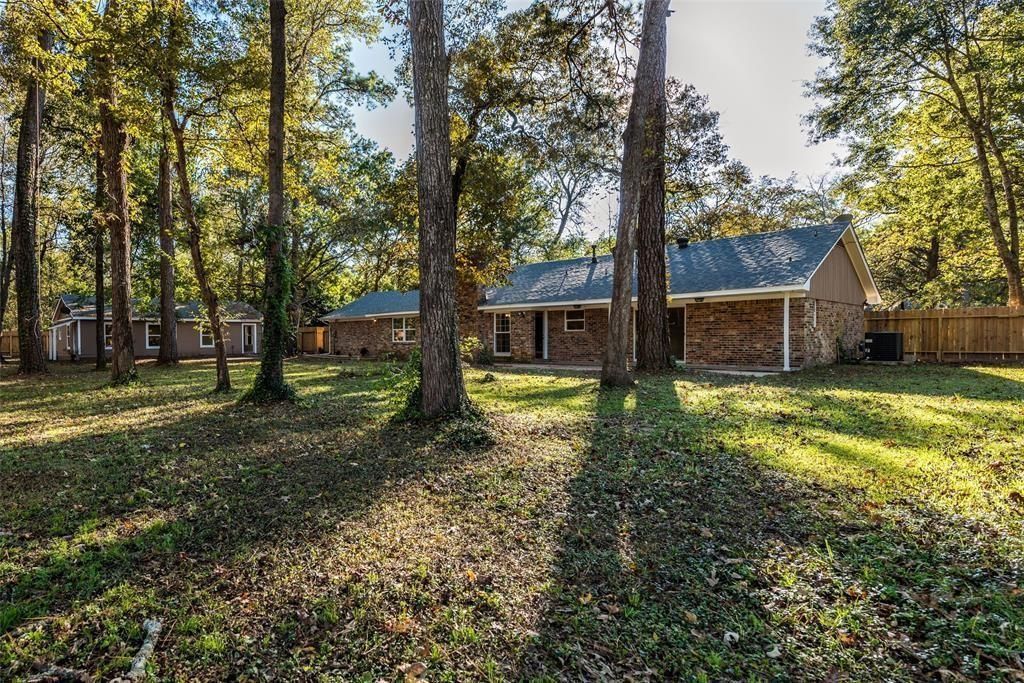 Wooded yard with tall trees and a long rustic house in warm sunlight