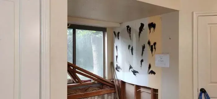 Hallway with a window, wooden railing, and a wall covered in black bird silhouettes