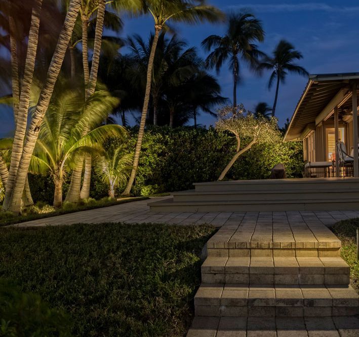 Nighttime view of illuminated palm trees and a patio with steps leading to a house.