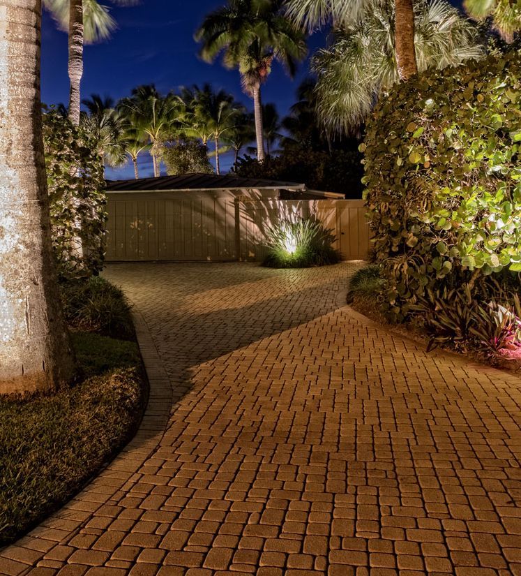 Brick driveway at night, lit by spotlights, leading to a wooden gate, flanked by trimmed hedges and palm trees.