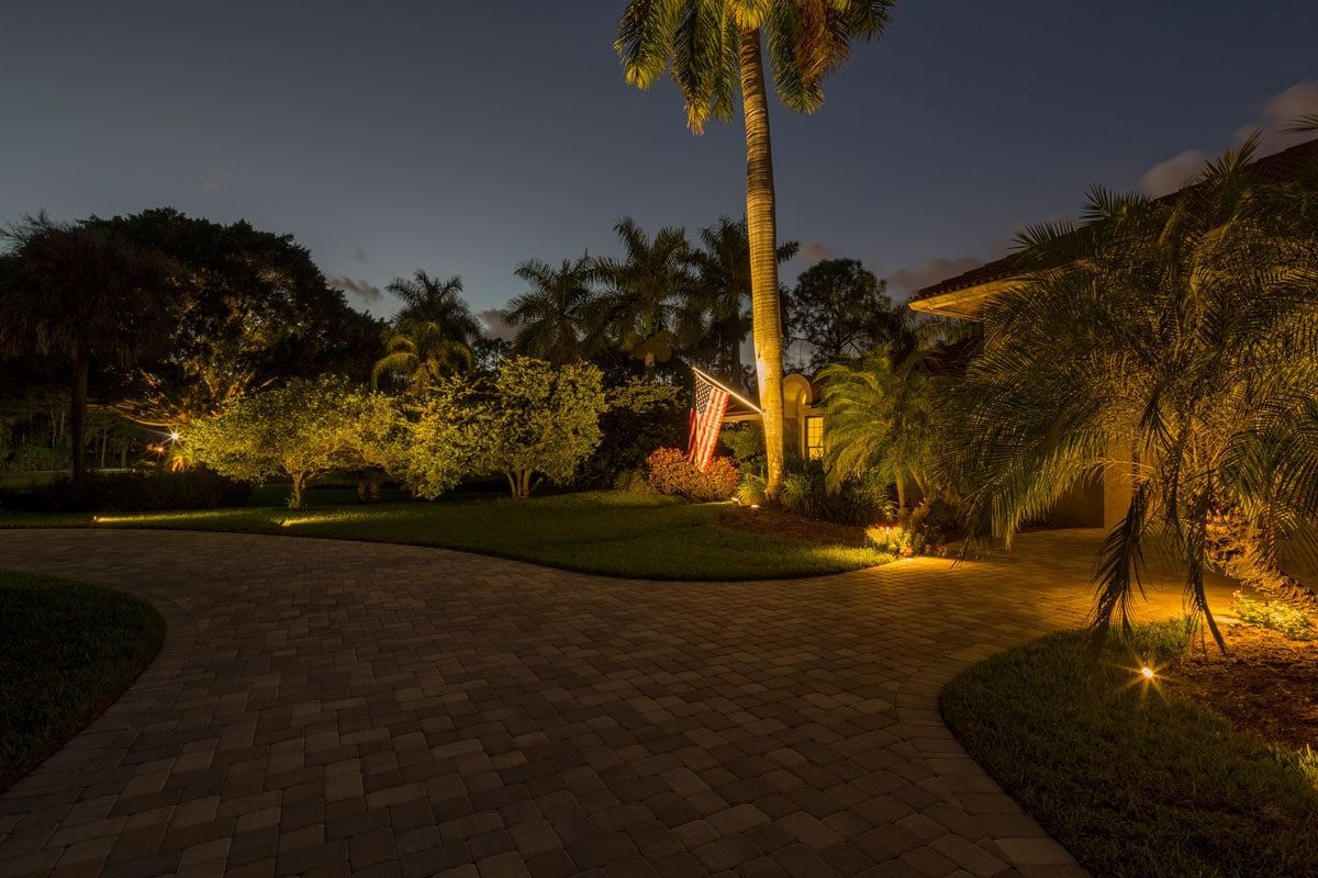 Nighttime landscape with illuminated trees, driveway, and house; a palm tree stands center.