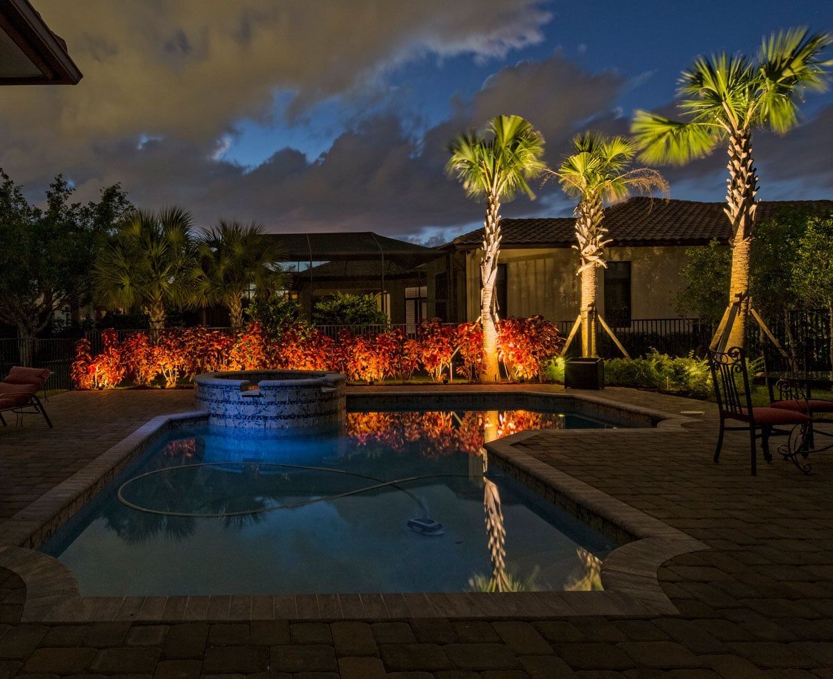 Night view of a pool with palm trees illuminated by spotlights, red bushes, and a blue-lit waterfall.